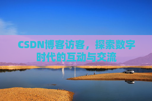CSDN博客访客，探索数字时代的互动与交流